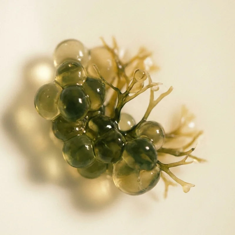 Textura abstracta en verdes y dorados que evoca un cultivo vivo visto de cerca